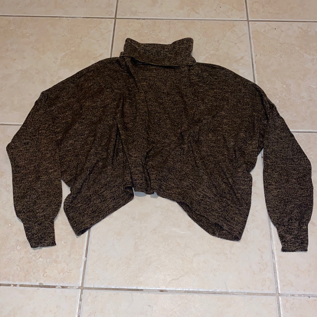 Zara Knit Cropped Turtleneck Sweater